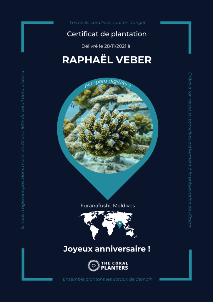 Acropora digitifera The Coral Planters