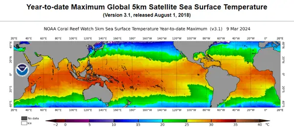 Figure 1 : Représentation cartographique de la température des eaux de surface en 2024. Source : NOAA