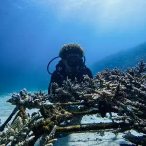 Join our team - Rejoignez nous - Offres - The Coral Planters