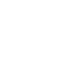lefrik-thecoralplanters-coral