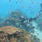 thecoralplanters-recif-reef-coraux-corail