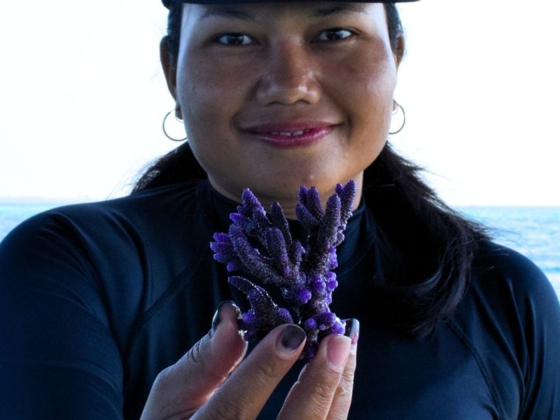 Purple Coral-thecoralplanters-reef